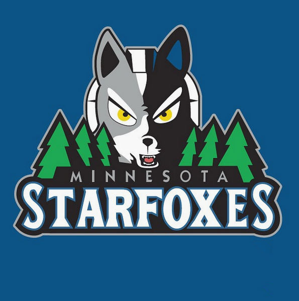 Minnesota Starfoxes logo iron on heat transfer